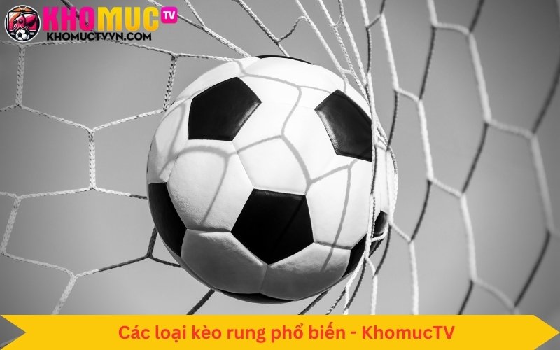 kèo rung nhiều cược thủ chơi