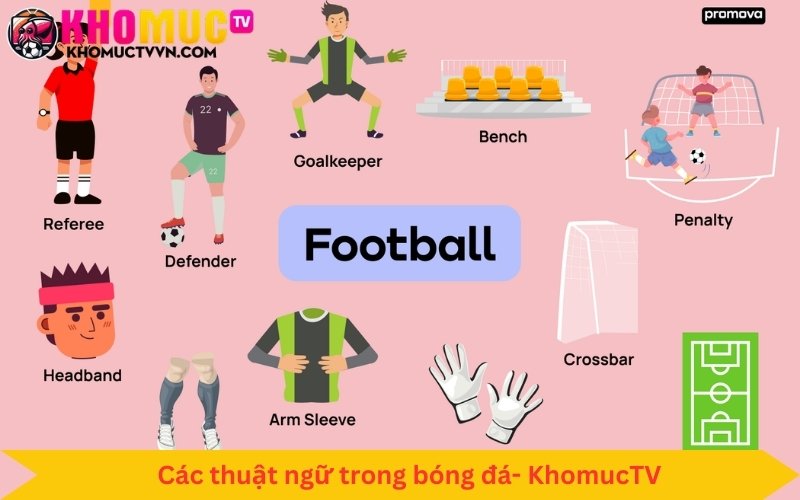 tìm hiểu về các thuật ngữ trong bộ môn bóng đá